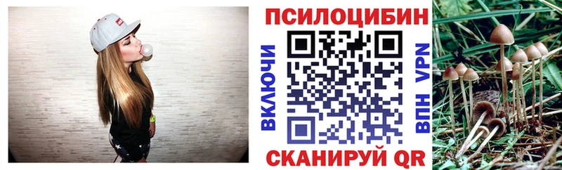 Купить  Западная Двина  Псилоцибиновые грибы мухоморы 